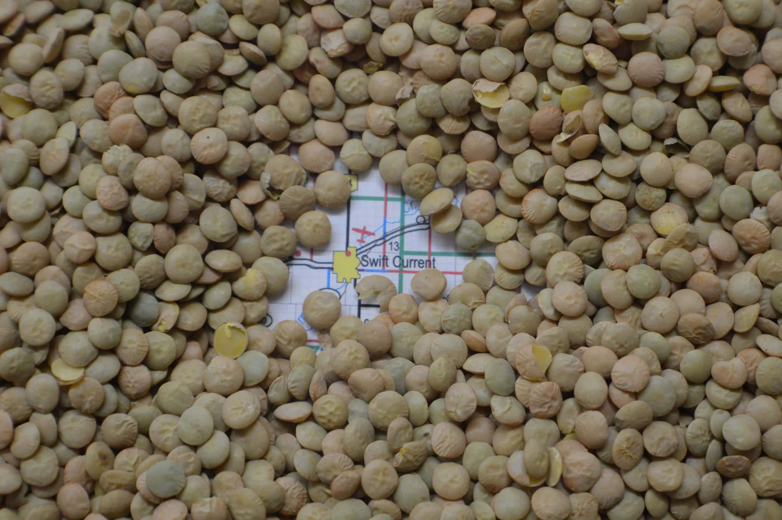 LIMA-LARGE-GREEN-LENTILS